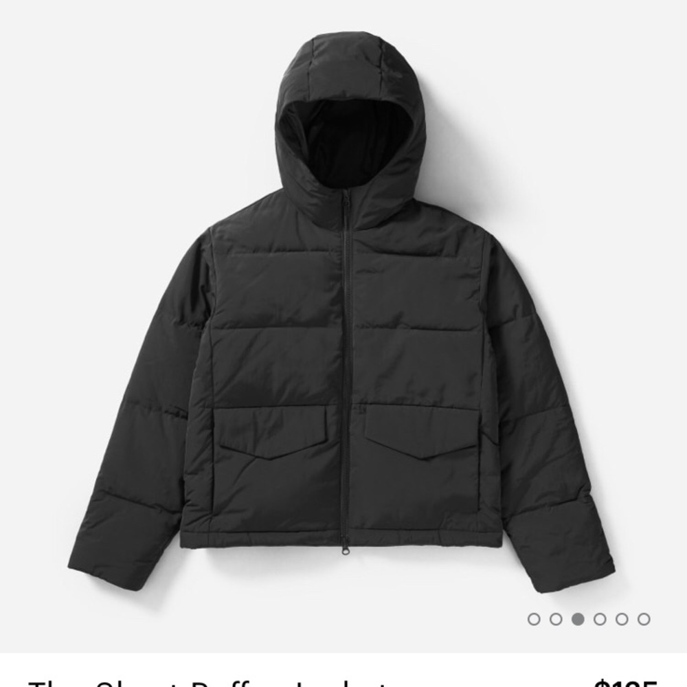 ISO Everlane Black Short Puffer Coat